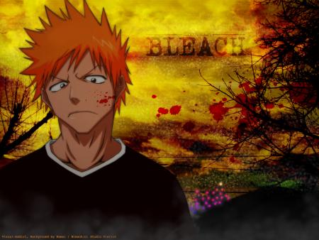 bleach